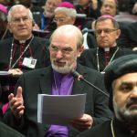 Plenarrede bei der Synode im Vatikan (2015)