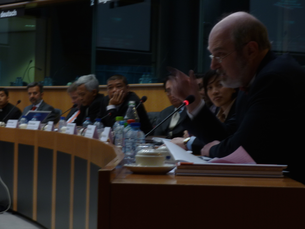 Brüssel EU Parlament Anhörung Indonesien 2 2014