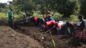 Jitokeze biointensive landwirtschaftliche Ausbildung © Jitokeze Wamama Wafrika